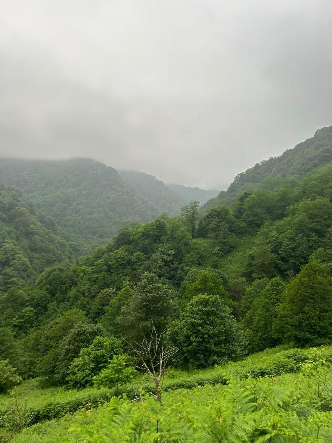 Bed and Breakfast Mtirala Panorama Khala Экстерьер фото