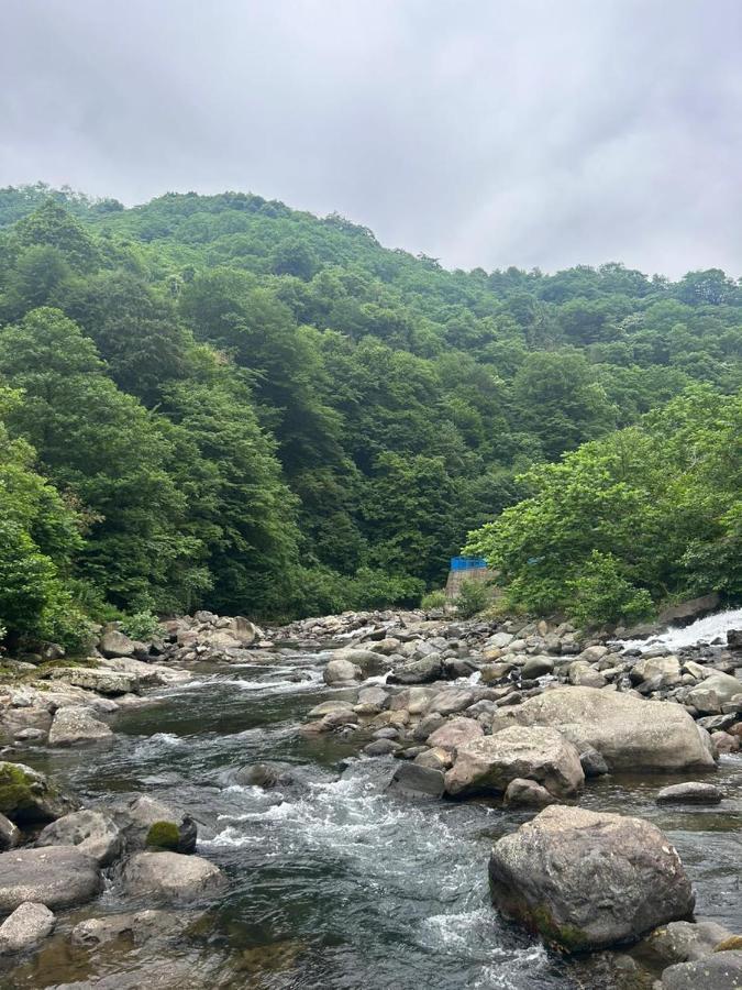 Bed and Breakfast Mtirala Panorama Khala Экстерьер фото